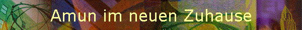Amun im neuen Zuhause