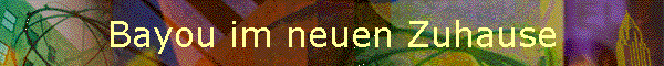 Bayou im neuen Zuhause