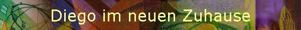 Diego im neuen Zuhause