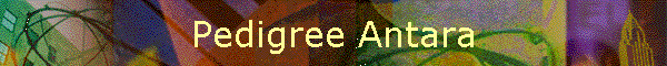 Pedigree Antara