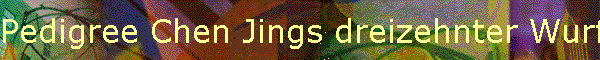 Pedigree Chen Jings dreizehnter Wurf