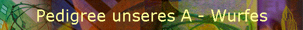 Pedigree unseres A - Wurfes