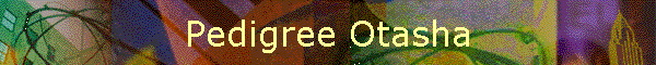 Pedigree Otasha