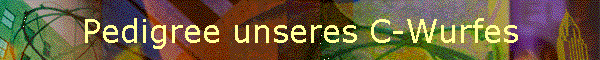 Pedigree unseres C-Wurfes