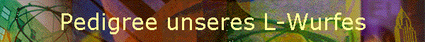 Pedigree unseres L-Wurfes