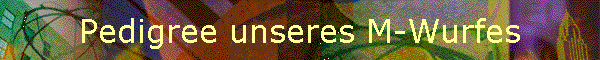 Pedigree unseres M-Wurfes