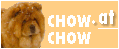 CHOWCHOW.at - das Infoportal für die Chow-Chow-Rasse